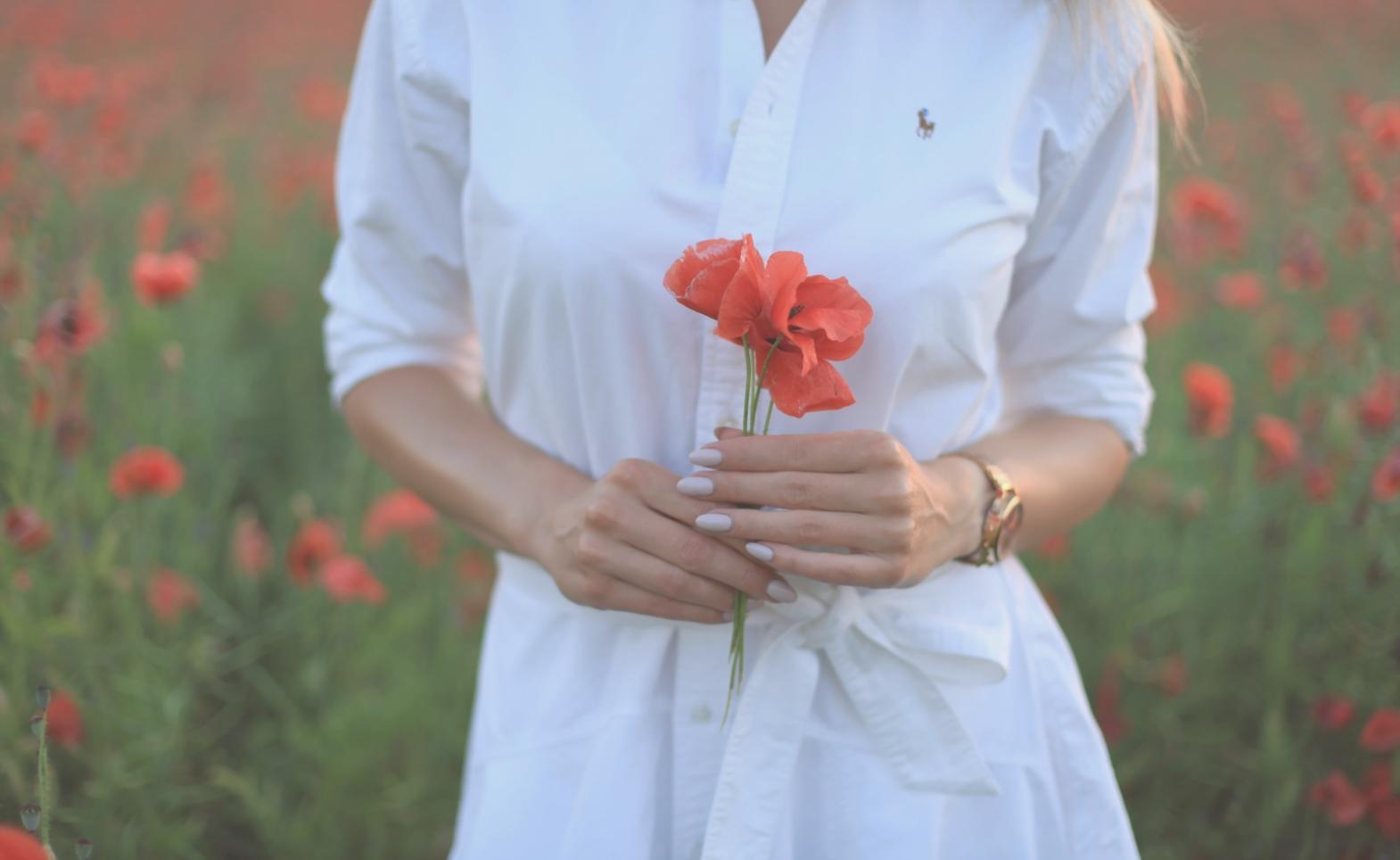 Acryl-System Anwendung im Detail